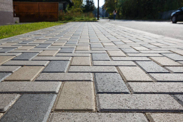 Best Affordable Driveway Pavers  in Darien, GA