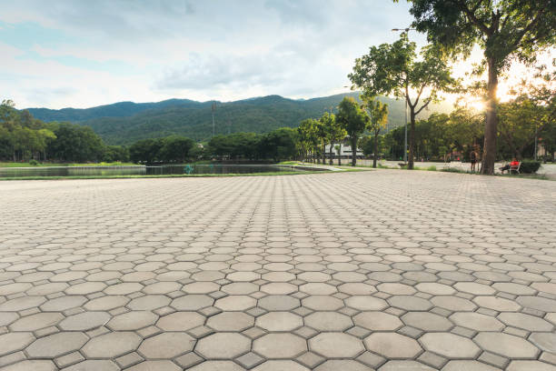 Best Driveway Pavers Contractor  in Darien, GA