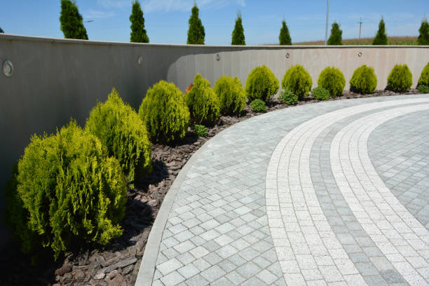 Best Interlocking Driveway Pavers  in Darien, GA