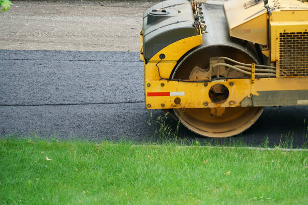 Best Driveway Pavers for Homes  in Darien, GA